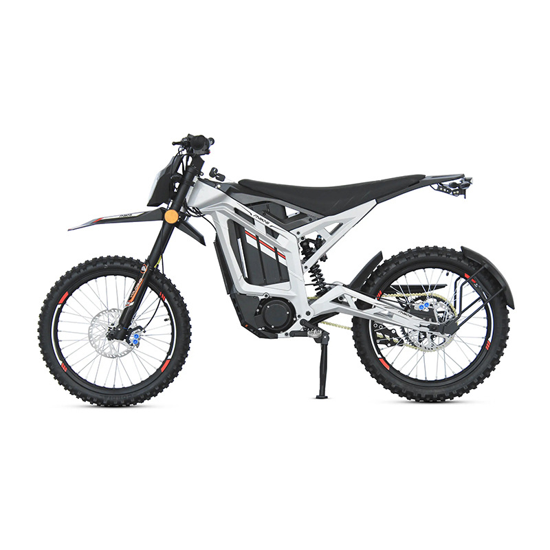 *forMZ-24 3000W Central Motor  - Dual Motor Electric Motorcycle Frame recension och pris