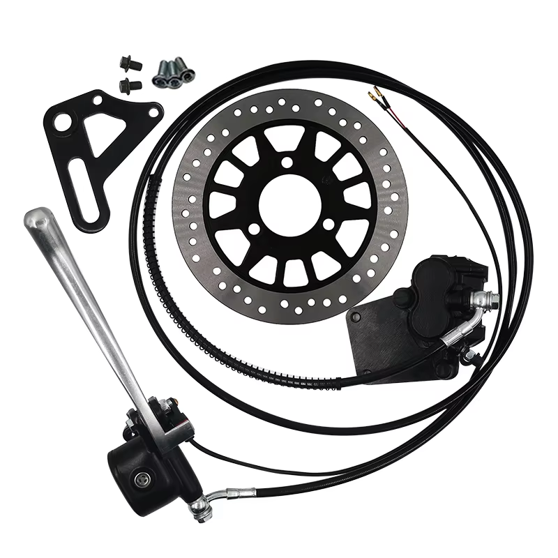 QS273 13 Inch 8000W 72V 120KMH - Qs273 Hub Motor 8000W 72V recension och pris